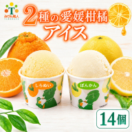 柑橘アイス カップ 14個 (2種 各7個入り) 【河内晩柑 しらぬい】 アイス ジェラート シャーベット ソルベ アイスクリーム ランキング 人気 贈答用 プレゼント みかん 柑橘 かんきつ 愛南ゴールド 不知火 デコポン冷凍 冬 夏 みかん職人武田屋 愛媛県 愛南町