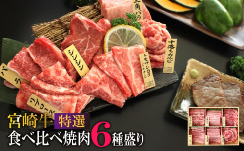 宮崎牛！特選！食べ比べ焼肉6種盛り(合計600g)国産 宮崎県産 牛肉 お肉 ロース カルビ 赤身 特選赤身 霜降り 中落ちカルビ 冷凍【AP-14】【日向屋】