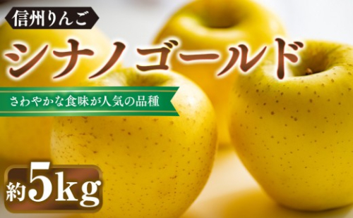 シナノゴールド約5kg（12個～18個） 2773413 - 長野県長野市