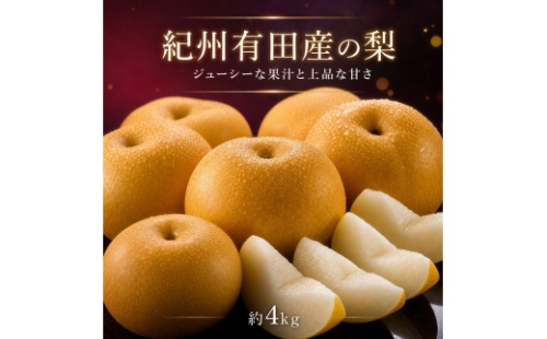 ジューシー果汁の紀州有田産の梨約４kg 　化粧箱入【先行予約】【2026年8月中旬以降発送予定】 2773445 - 和歌山県有田川町
