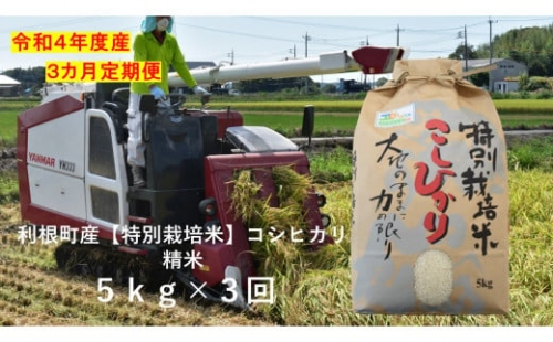 【3ヶ月定期便】利根町産【特別栽培米】コシヒカリ　精米5kg×3回