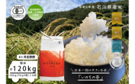 《令和8年産 新米 先行予約》「6ヶ月定期便」【お米グランプリ3部門受賞】＜有機JAS認証米＞日本一粒の大きいお米『いのちの壱』白米20kg×6回