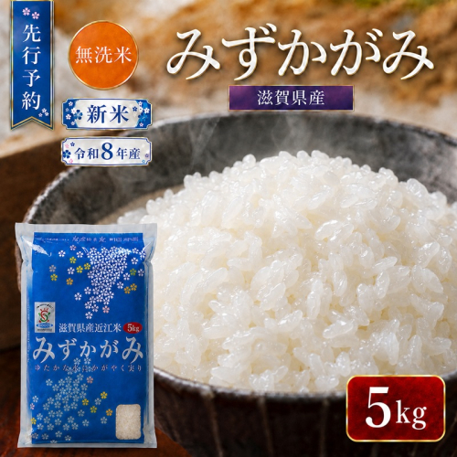 【令和8年産】 先行予約 新米 BG無洗米 みずかがみ 5kg 米 無洗 無洗米 こめ コメ お米 ご飯 ミズカガミ 5キロ 令和8年 令和8年度産 令和八年 令和八年産 滋賀県 豊郷 豊郷町 2774168 - 滋賀県豊郷町