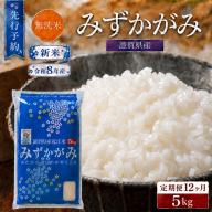 [令和8年産] 先行予約 新米 BG無洗米 みずかがみ 5kg 12回定期便 令和8年産 定期便 米 無洗 無洗米 こめ コメ お米 ご飯 米 ミズカガミ 米定期便 12か月定期便 12ヶ月定期便 12回 12ヶ月 12か月 滋賀県 豊郷 豊郷町
