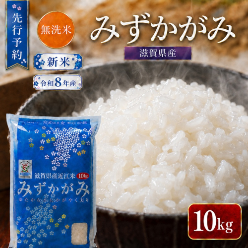 【令和8年産】 先行予約 新米 BG無洗米 みずかがみ 10kg 米 無洗 無洗米 こめ コメ お米 ご飯 ミズカガミ 10キロ 令和8年 令和8年度産 令和八年 令和八年産 滋賀県 豊郷 豊郷町 2774176 - 滋賀県豊郷町