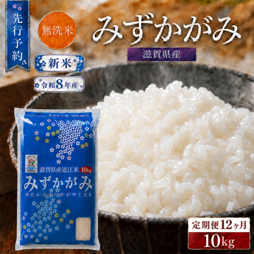 【令和8年産】 先行予約 新米 BG無洗米 みずかがみ 10kg 12回 定期便 令和8年産 米 無洗 無洗米 こめ コメ お米 ご飯 米 ミズカガミ 米定期便 12か月定期便 12ヶ月定期便 12ヶ月 12か月 滋賀県 豊郷町 2774179 - 滋賀県豊郷町