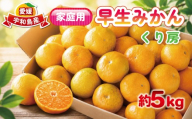 家庭用 早生みかん 約 5kg くり房 早生 みかん わせみかん 愛媛みかん 愛媛蜜柑 蜜柑 mikan 果物 くだもの フルーツ 柑橘 数量限定 産地直送 国産 愛媛 宇和島 B012-204003