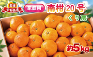 家庭用 南柑20号 約 5kg くり房 中生みかん なかてみかん 愛媛みかん 愛媛蜜柑 蜜柑 みかん mikan 果物 くだもの フルーツ 柑橘 数量限定 産地直送 国産 愛媛 宇和島 B012-204004