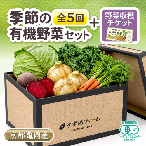 季節の 京野菜セット 定期便 5回 合計30kg 京都産 オーガニック 【野菜収穫体験付き】1〜4回各5kg 5回目10kg 有機栽培 有機JAS認証 産地直送 新鮮 詰め合わせ 人気 2774369 - 京都府亀岡市
