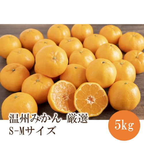 温州みかん厳選(S-Mサイズ)　5kg 2774370 - 和歌山県御坊市