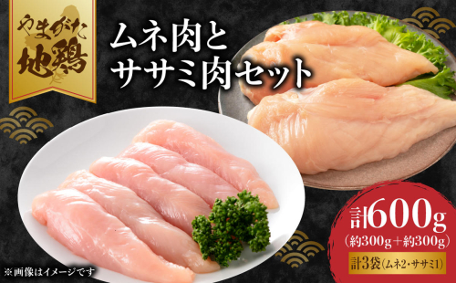 やまがた地鶏 「ムネ肉とササミ肉」セット 060-019 2774383 - 山形県大江町