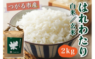 令和8年産 つがる市産 はれわたり 白米/玄米 2kg|2026年産 はれわたり 白米 玄米 お米 米 コメ 精米 農家 特A 青森 新米 [1069]