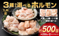3種から選べる ホルモン 約500g（250g×2パック） 産地 内臓 丸腸 小腸 シマ腸 鮮度 九州産 黒毛和牛 和牛 お肉 ニク にく 肉 牛肉 牛 冷凍 即日発送