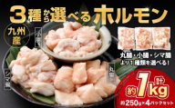 3種から選べる ホルモン 約1.0kg（250g×4パック） 産地 内臓 丸腸 小腸 シマ腸 鮮度 九州産 黒毛和牛 和牛 お肉 ニク にく 肉 牛肉 牛 冷凍 即日発送