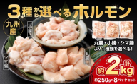 3種から選べる ホルモン 約2.0kg（250g×8パック） 産地 内臓 丸腸 小腸 シマ腸 鮮度 九州産 黒毛和牛 和牛 お肉 ニク にく 肉 牛肉 牛 冷凍 即日発送