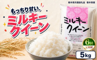【令和8年産 新米】【定期便6回】栃木県産 お米 白米 ミルキークイーン 5kg | 栃木県 矢板市　栃木県共通返礼品 栃木県産