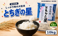 栃木県産 お米 白米 とちぎの星 10kg | 栃木県 矢板市　栃木県共通返礼品 栃木県産