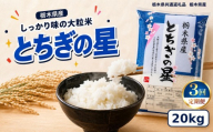 栃木県産 お米 白米 とちぎの星 20kg | 栃木県 矢板市　栃木県共通返礼品 栃木県産