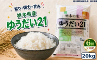 栃木県産 お米 白米 ゆうだい21 20kg | 栃木県 矢板市　栃木県共通返礼品 栃木県産