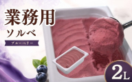 家族やみんなで楽しめる！ たっぷり2L ブルーベリー ソルベ 乳 不使用 スイーツ お菓子 洋菓子 デザート 2L 盛岡市産 ご当地 人気 冷凍 工房直送  そるべ ぶるーべりー アイス アイスクリーム あいす 岩手県 盛岡市 東北 岩手 盛岡 tamayam002bb