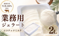 【盛岡市産生乳100％】家族やみんなで楽しめる！ たっぷり2L ジェラート ココナッツミルク 2L ここなっつみるく ココナッツ ここなっつ ミルク みるく じぇらーと アイス アイスクリーム あいす デザート 洋菓子 お菓子 ご当地 人気 冷凍 工房直送 盛岡市産 岩手県 盛岡市 東北 岩手 盛岡 tamayam002k