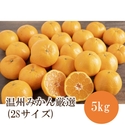 温州みかん厳選(2Sサイズ) 5kg 2774662 - 和歌山県御坊市