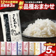 ＼ 令和8年産 新米 先行予約 ／【 3回 定期便（12～2月出荷）】 品種おまかせ 5kg （精米） 茨城県つくばみらい市産 こしひかり コシヒカリ 米 コメ こめ 単一米 限定 茨城県産 国産 美味しい お米 おこめ おコメ [CL-08OM05-12T3]