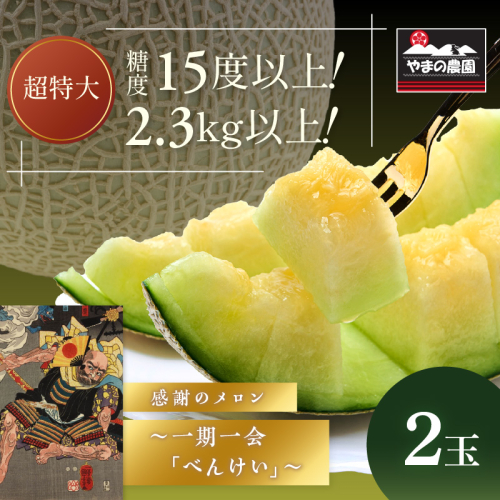 やまの農園 感謝のメロン～一期一会「べんけい」～2玉≪先行予約≫【2027年7月中旬より順次発送予定】 2774812 - 和歌山県御坊市