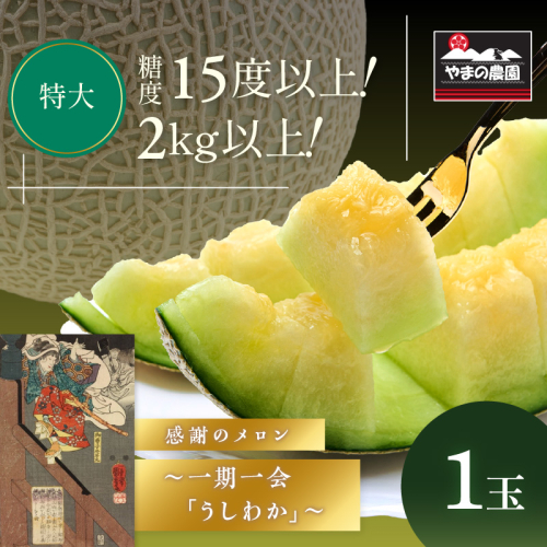 やまの農園 感謝のメロン～一期一会「うしわか」～1玉≪先行予約≫【2027年7月中旬より順次発送予定】 2774813 - 和歌山県御坊市