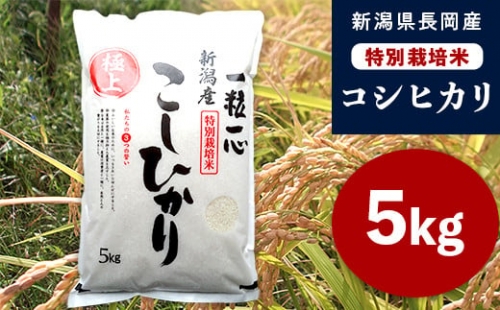 48-051新潟県長岡産特別栽培米コシヒカリ5kg