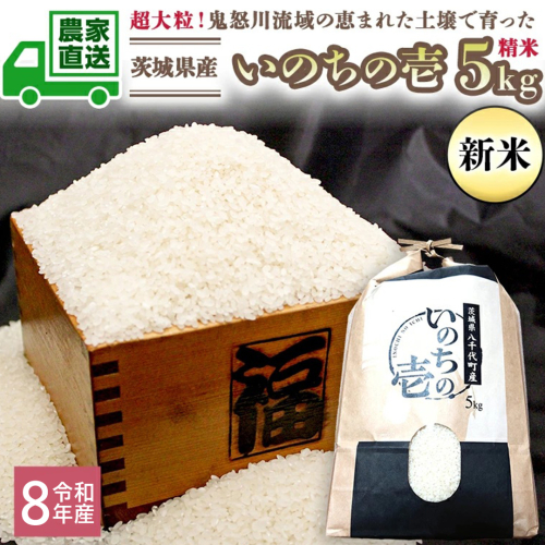 令和8年産 新米 茨城県産 いのちの壱 5kg 精米 米 こめ コメ 茨城県 国産 いばらき 単一米 単一原料米 大粒 農家直送 [BG018ya] 2774963 - 茨城県八千代町