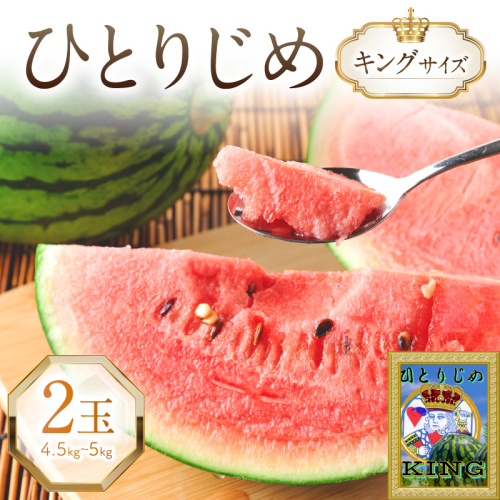 やまの農園 「ひとりじめ」キングサイズ 2玉≪先行予約≫【2027年6月中旬より順次発送予定】 2774975 - 和歌山県御坊市