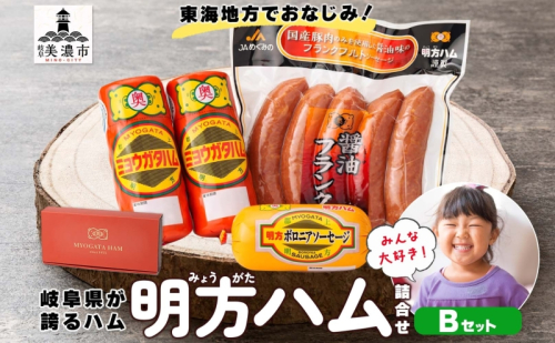 明方 ハム Bセット ボロニア ソーセージ フランクフルト JA ブランド 豚肉 お肉 国産 熟成 塩分 控えめ 豚腸 バーベキュー BBQ 加工品 お取り寄せ 贈答 ギフト 送料無料 めぐみの農業協同組合 岐阜県 美濃市 2776792 - 岐阜県美濃市
