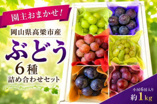 園主おまかせ！ぶどう6種詰め合わせセット約1kg（小房6房入り）化粧箱 岡山県高梁市産 2776882 - 岡山県高梁市