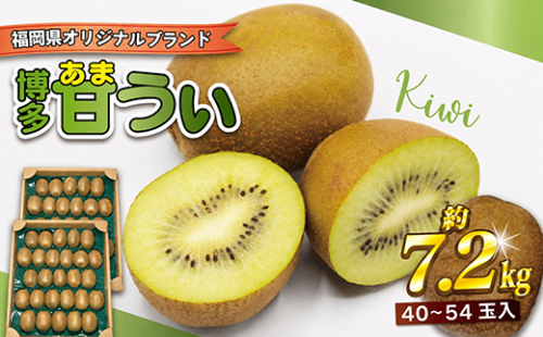 【2026年11～12月出荷】福岡県ブランドキウイフルーツ「博多甘うぃ」約7.2kg[H2333] 2776887 - 福岡県福津市