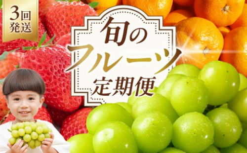 ＜定期便・全3回(10.12.2月発送)＞フルーツ定期便 (シャインマスカット・田口早生・ベリーツ) ぶどう 葡萄 フルーツ いちご みかん 果物 定期便＜先行予約受付中！26年10月から順次発送予定＞＜北海道、沖縄、離島配送不可＞【206200100】【大分県宇佐市】 2776988 - 大分県宇佐市