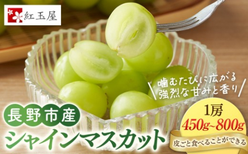 ★ 紅玉屋 長野市産大粒シャインマスカット1房（約450g～800g）【2026年9月上旬頃より順次発送】 |  シャインマスカット ぶどう フルーツ 果物 国産 人気 おすすめ ギフト プレゼント 送料無料 長野県 長野市 信州 信濃 ふるさと納税 2776990 - 長野県長野市