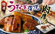 【偶数月定期6回】特選 蒲焼うなぎ(短冊)肉厚うなぎを炭火焼！| ふるさと納税 特選 蒲焼うなぎ 短冊 肉厚うなぎ炭 高級蒲焼 国産うなぎ 肉厚 炭火焼うなぎ 贅沢 肉厚うなぎ蒲焼特選 炭火焼うなぎ ギフト 栃木県 那珂川町 送料無料