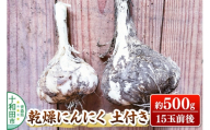 乾燥にんにく土付き 約500g（約15玉） 青森県十和田市産 [ニンニク にんにく 野菜 根菜 国産 青森 十和田市]