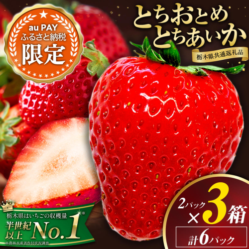【三太郎の日限定】とちおとめ・とちあいか 6パック (2パック入り×3箱) 1560g いちご 食べ比べ 先行予約《1月中旬-4月末頃出荷予定》 栃木県 野木町 イチゴ 苺 とちおとめ とちあいか 食べ比べ 果物 フルーツ ハート型 ジューシー【配送不可地域あり】(沖縄・離島) 2777137 - 栃木県野木町