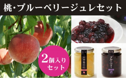 ジュレセット2本入(ブルーベリー/川中島白桃) |  ジュレ フルーツ ブルーベリー 桃 白桃 もも 人気 おすすめ デザート スイーツ ギフト プレゼント 送料無料 長野県 長野市 信州 信濃 ふるさと納税 2777233 - 長野県長野市