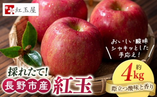 紅玉屋 長野市産 紅玉 4kg【2026年9月下旬以降の出荷分】（紅玉屋） |  りんご 林檎  フルーツ 果物 ギフト  人気 おすすめ 送料無料 長野県 長野市 信州 信濃 ふるさと納税 2777238 - 長野県長野市