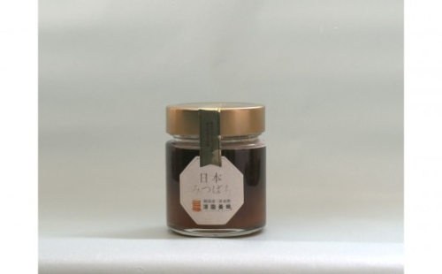 日本みつばちはちみつ200g｜ はちみつ 蜂蜜 単品 人気 おすすめ 天然 純粋 国産 ギフト 贈答品 送料無料 長野県 長野市 信州 信濃 ふるさと納税 2777251 - 長野県長野市