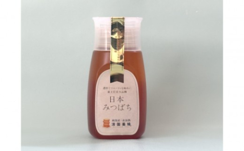 日本みつばち はちみつ300g｜ はちみつ  人気 おすすめ 純粋 国産は 非加熱 ギフト 贈答品 送料無料 長野県 長野市 信州 信濃 ふるさと納税 2777254 - 長野県長野市