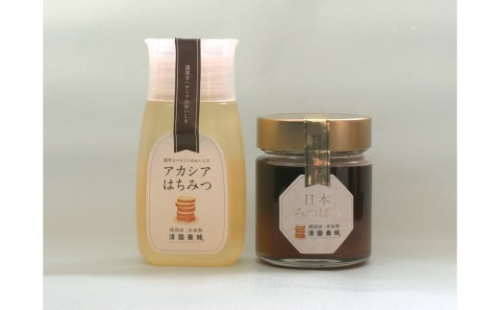 はちみつセット(日本みつばち200ｇ＆アカシア300ｇ)｜ はちみつ 蜂蜜 希少な食べ比べセット 人気 おすすめ 日本みつばち アカシア 純粋はちみつ 国産はちみつ ギフト 贈答品 送料無料 長野県 長野市 信州 信濃 ふるさと納税 2777255 - 長野県長野市
