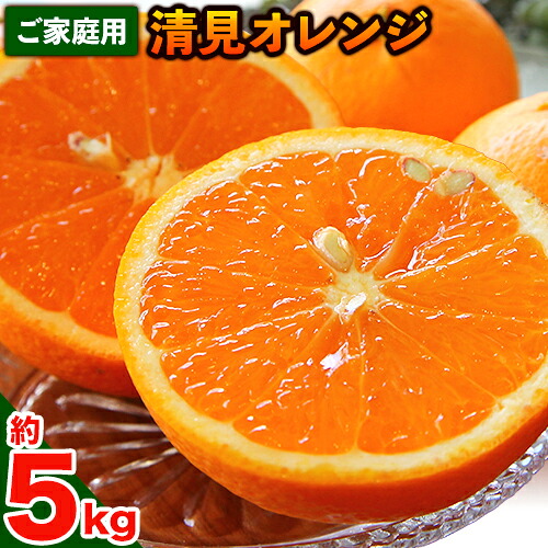 【先行予約】清見オレンジ ご家庭用 約 5kg 主井農園《2月下旬-3月中旬頃出荷》 和歌山県 日高町 清見 オレンジ 訳あり 家庭用 果物 訳あり オレンジ 訳あり清見オレンジ みかん 柑橘 送料無料 2777325 - 和歌山県日高町