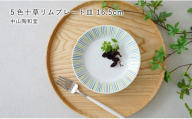 有田焼  5色十草 リムプレート皿 16.5cm【中山陶和堂】食器 うつわ 器 プレート 皿 かわいい カラフル bv016