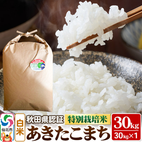 あきたこまち（白米）30kg×1袋 米 令和7年産 秋田県認証 特別栽培米 [白米 精米 あきたこまち アキタコマチ 秋田小町 産地直送 産直 お取り寄せ ごはん] 2777349 - 秋田県仙北市