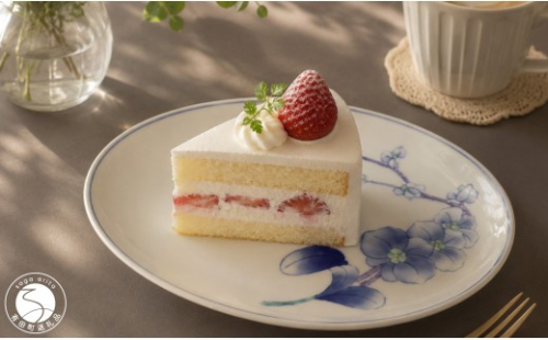 有田焼 華山窯 胡蝶蘭 楕円トレー 皿 2枚 セット【東洋セラミックス】 食器 器 うつわ プレート 幸福 お皿 au038 2777355 - 佐賀県有田町