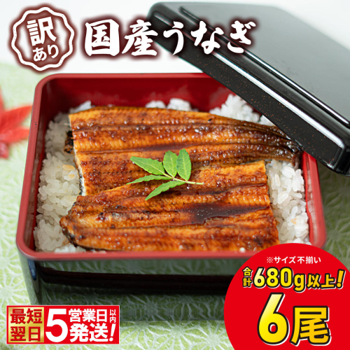 〈最短翌日発送〉【訳あり】さかい河岸水産 国産 うなぎ 蒲焼き 6尾 680g以上！ ※サイズ不揃い 人気 小分け K2739 2777435 - 茨城県境町